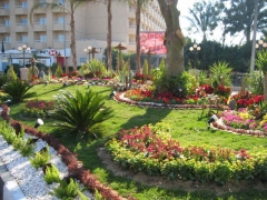 The greening of Luxor 3