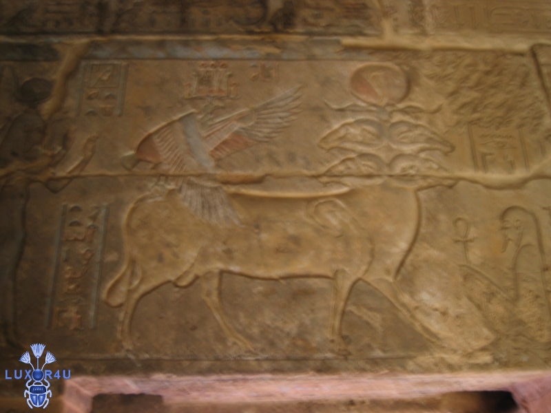 Carving of ram at Deir el Medina