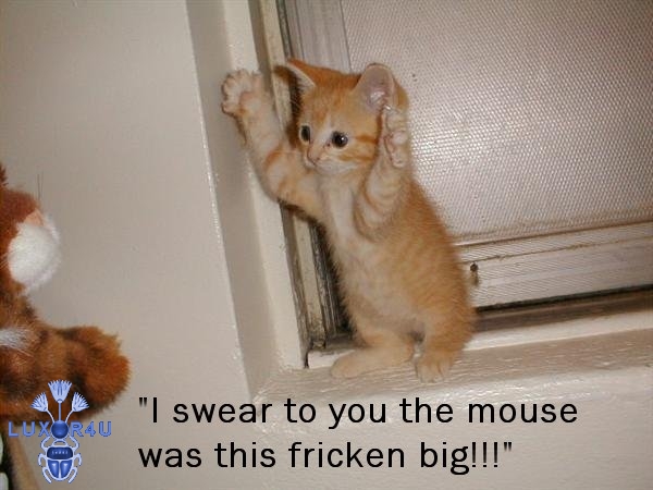 Big Mouse