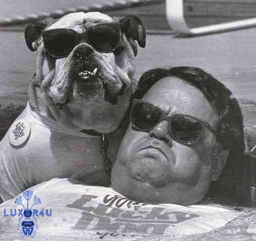 Lucky Dog