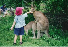 Feeding Time
