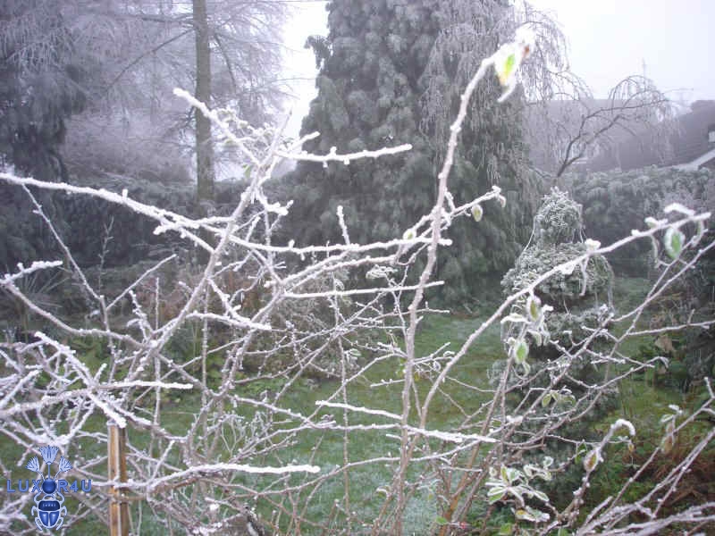 Frosty Day 2