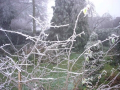 Frosty Day 2
