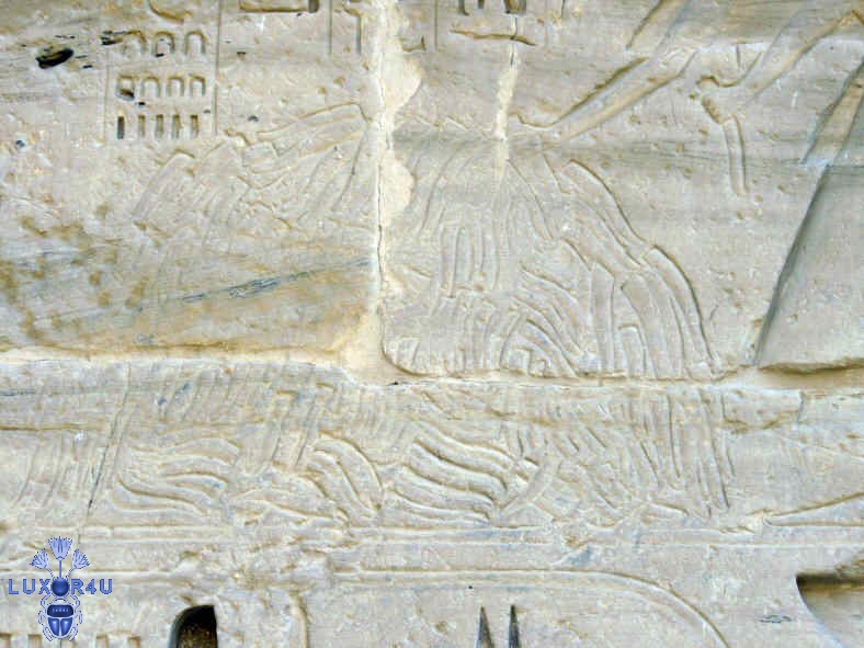 Willies at Medinet Habu 1