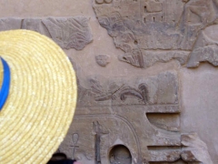 Willies at Medinet Habu 2