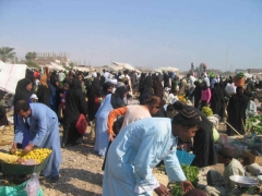 The Tuesday Market - west bank