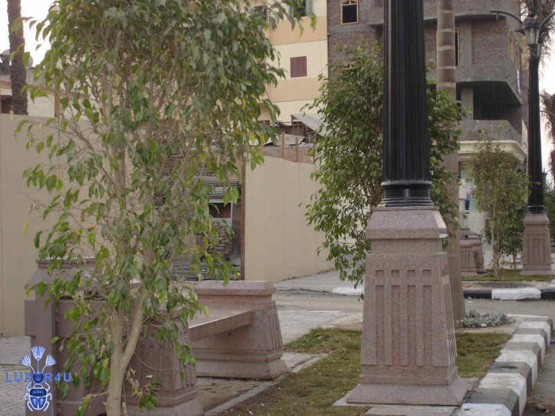 New trees in Station Street