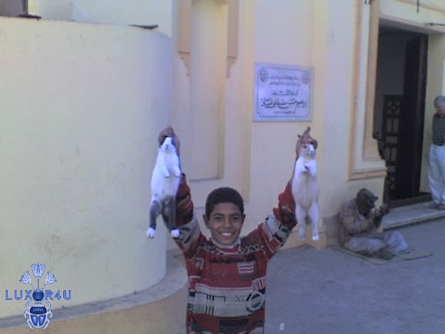 Guess what's for dinner?