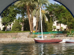 View of the Hilton from the Nile