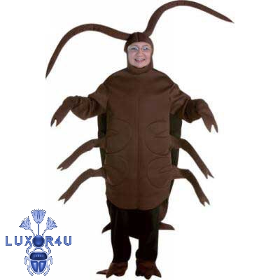 Do my eyes need testing