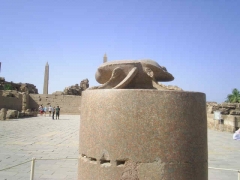 scarab at karnak