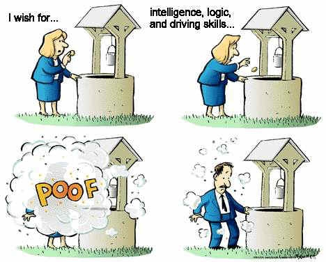 I Wish For....