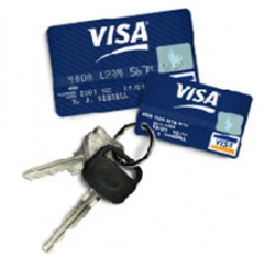 Mini Visa Card