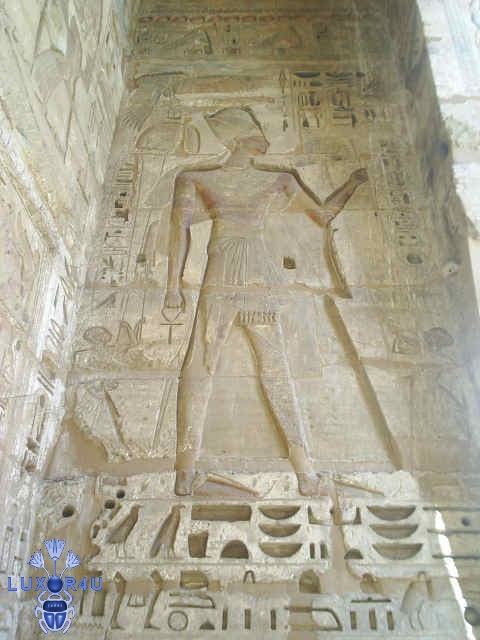 medinut habu