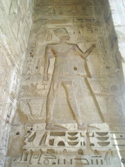 medinut habu