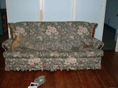Hidden