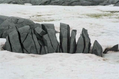 Sliced Egg rock