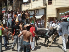 Abou el Haggag 2007