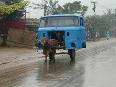 The Indian Car