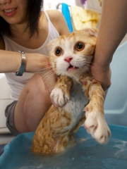 Bath 1