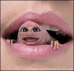 The Mouth