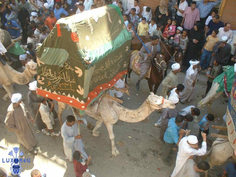 Abou el Haggag 2007