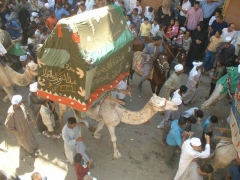 Abou el Haggag 2007