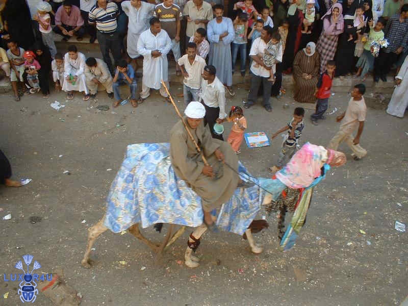 Abou el Haggag 2007
