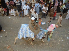 Abou el Haggag 2007