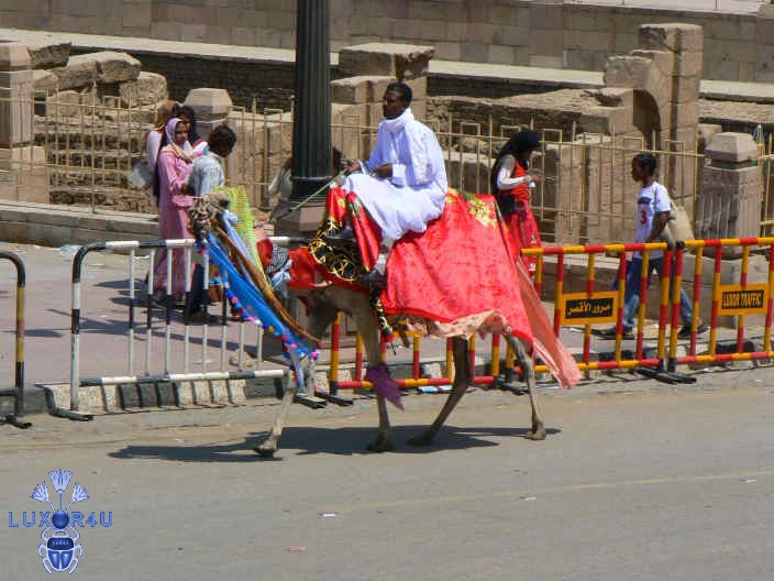 Abu el Haggag Moulid 2007