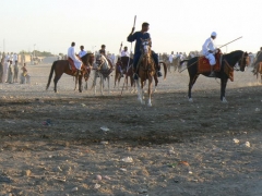 Gourna Festival 2007