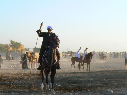 Gourna Festival 2007