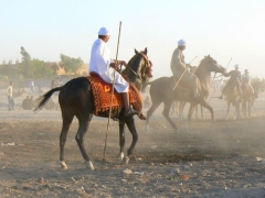 Gourna Festival 2007