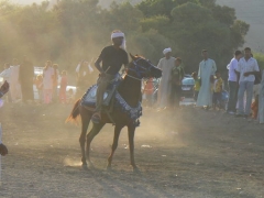 Gourna Festival 2007