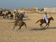 Gourna Festival 2007