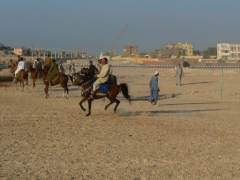 Gourna Festival 2007