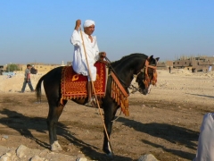 Gourna Festival 2007