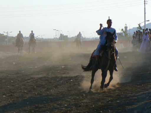 Gourna Festival 2007