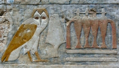 Oct 2007 - 2nd - Deir el Bahri