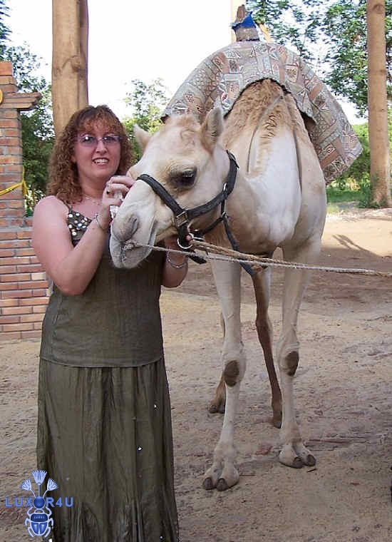 me and cleo