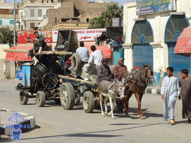 Dec 2007 - 3rd - "Little donkey, little donkey, on a dusty road"