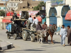 Dec 2007 - 3rd - "Little donkey, little donkey, on a dusty road"