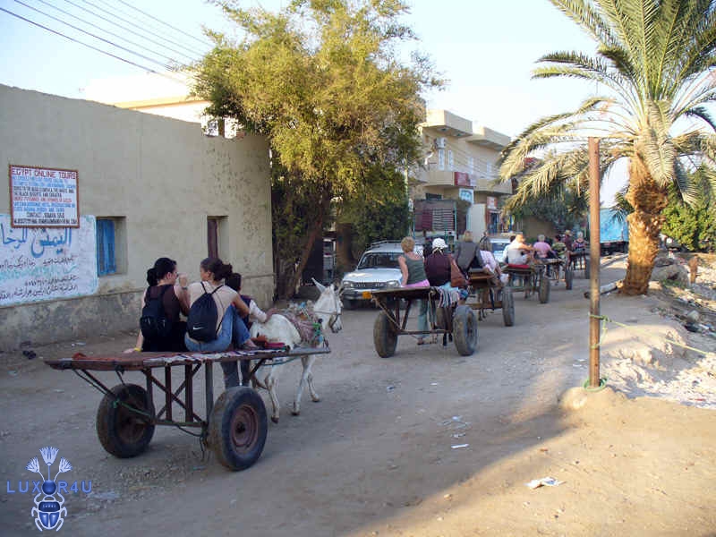 Dec 2007 - 4th - Donkey cart treking!