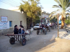Dec 2007 - 4th - Donkey cart treking!