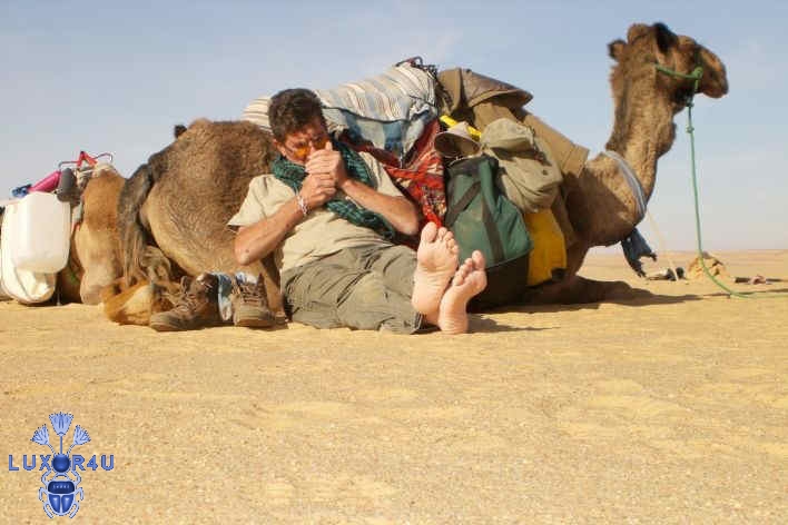 Chillin with Clementine!