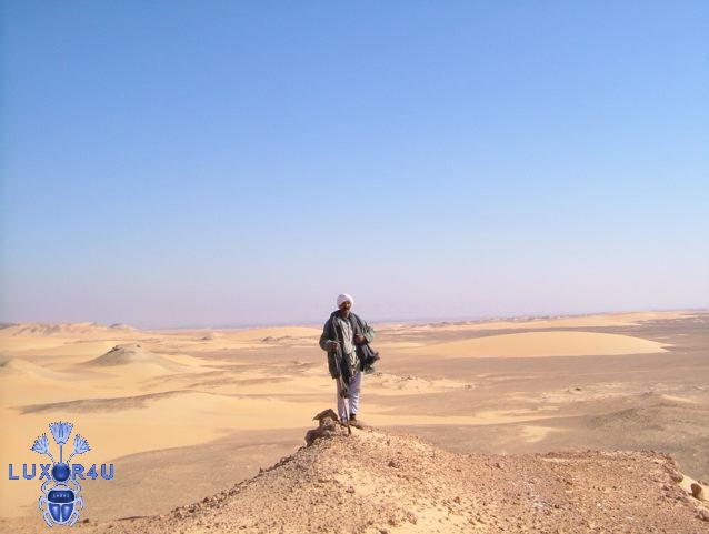 Hassan