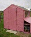 The Shed