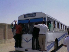 Local Bus