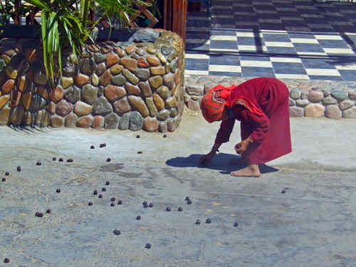 Maltesers!!  "i don't think so"