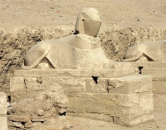 sphinx